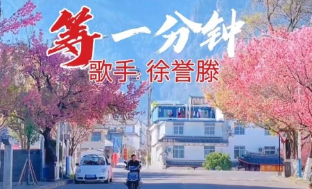 歌红人不红，曾经的网络歌手你还记得几个？第四位已经永远离开-以前网络红人有哪些
