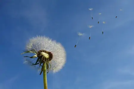 人在低谷时，就这样安慰自己！（很真实）-一个人低谷的时候安慰他的话