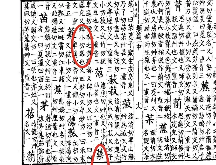 「摽有梅」里的「摽」究竟怎么读？含义又是什么呢?-亼㒵念什么