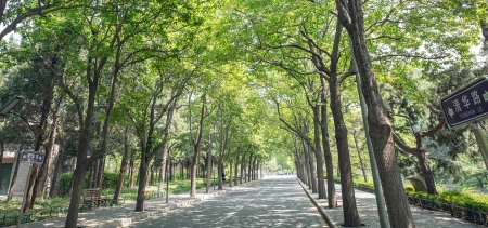每天介绍一所大学：清华大学-清华大学学的是什么专业