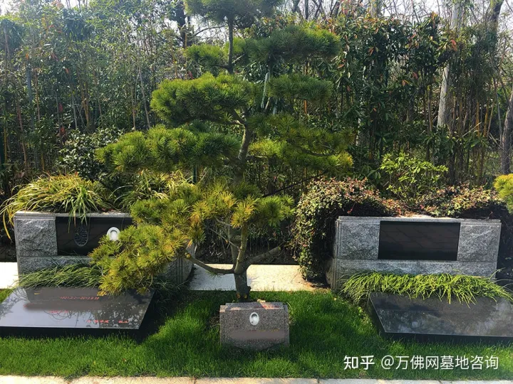 浦东公墓/浦东墓地哪家好？-上海浦东公墓地址一览表查询