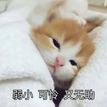 去凤凰古城 ，有什么是绝对不能错过的？-去凤凰古城 ,有什么是绝对不能错过的