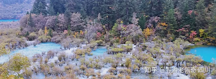 九寨沟是一个怎样的地方？-九寨沟是什么样子的?