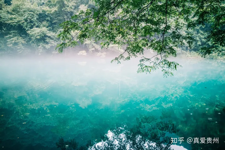 贵州十大热门旅游景点排名及推荐-贵州旅游景点排行榜前十位