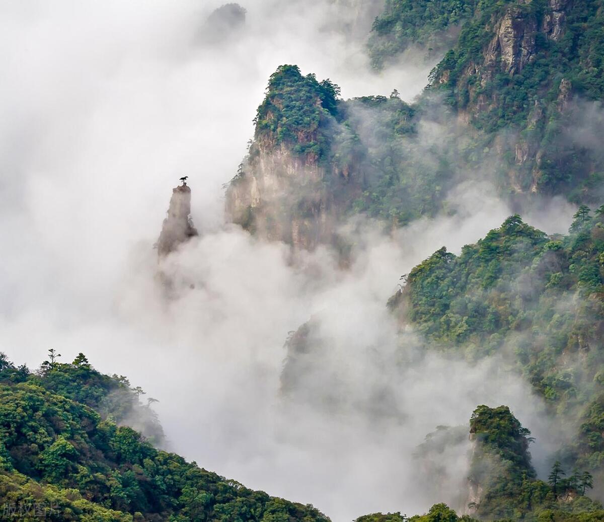 来贵州游玩不可错过的十大景点，你去过几个？-贵州必去的5个景点介绍