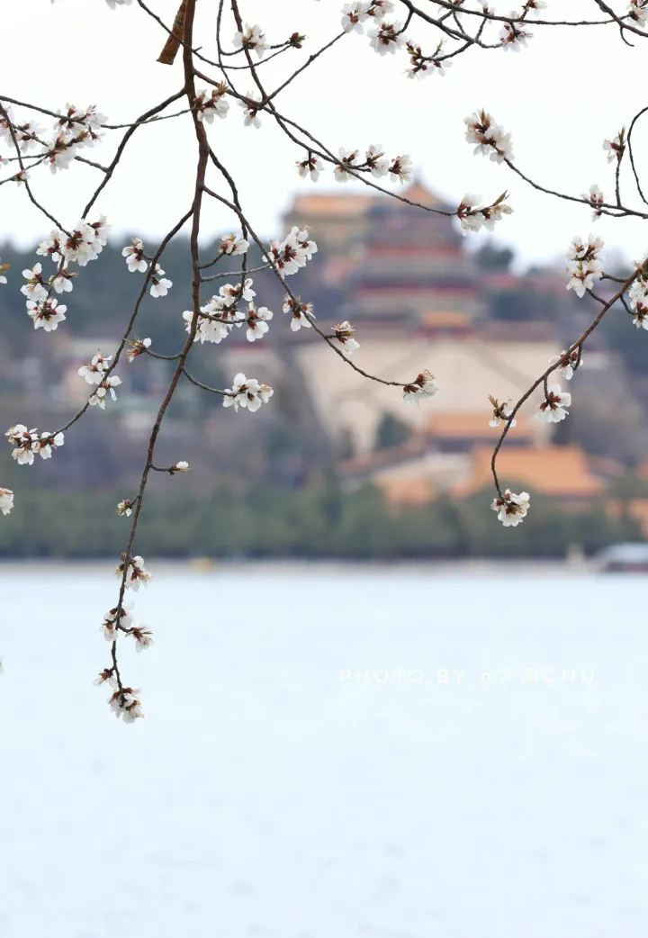 颐和园，皇家园林，北京旅游必去景点之一-颐和园皇家园林布局特点