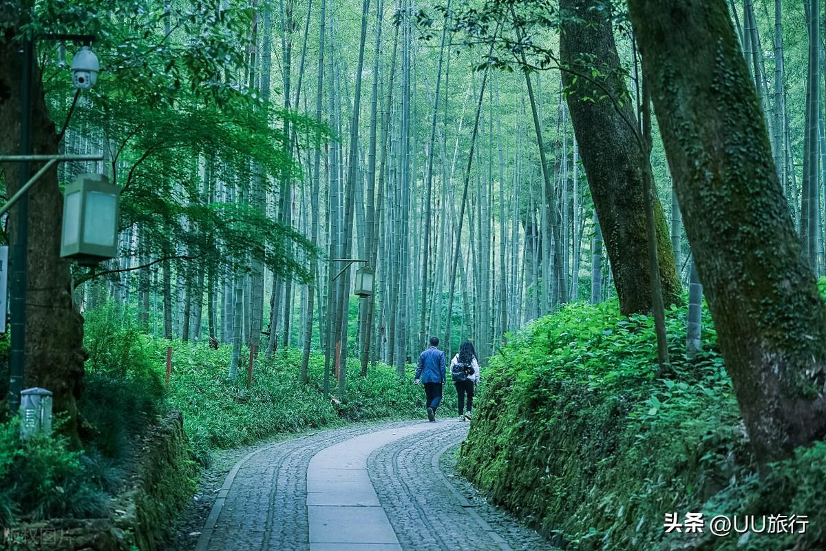 杭州旅行最值得打卡的10个景区，你打卡了几个？-杭州打卡景点