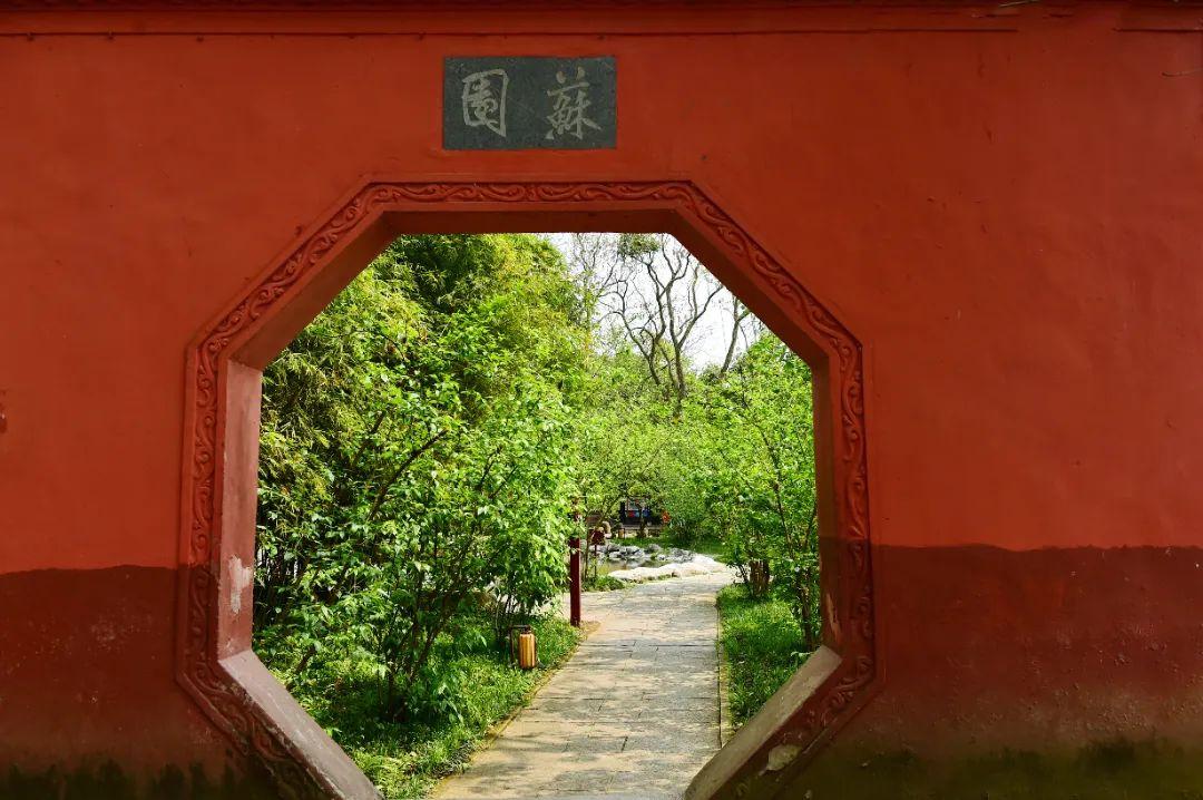 乐山大佛，一个让你流连忘返的地方！-乐山大佛的具体位置在哪