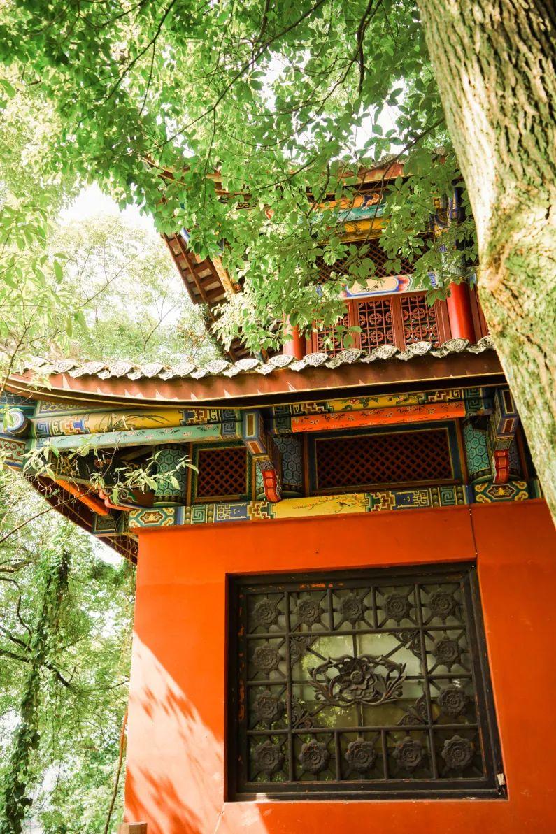 乐山大佛，一个让你流连忘返的地方！-乐山大佛的具体位置在哪