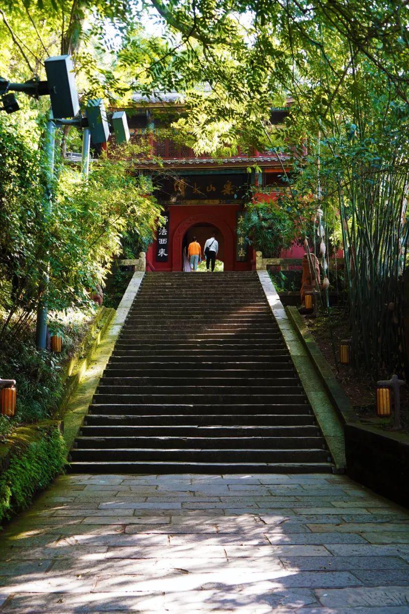 乐山大佛，一个让你流连忘返的地方！-乐山大佛的具体位置在哪