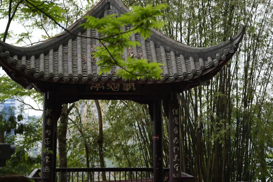 乐山大佛，一个让你流连忘返的地方！-乐山大佛的具体位置在哪