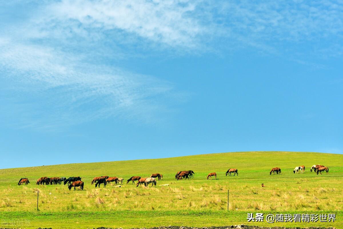 内蒙古必去的五大景点，你都去过几个？-内蒙古必去的旅游景点