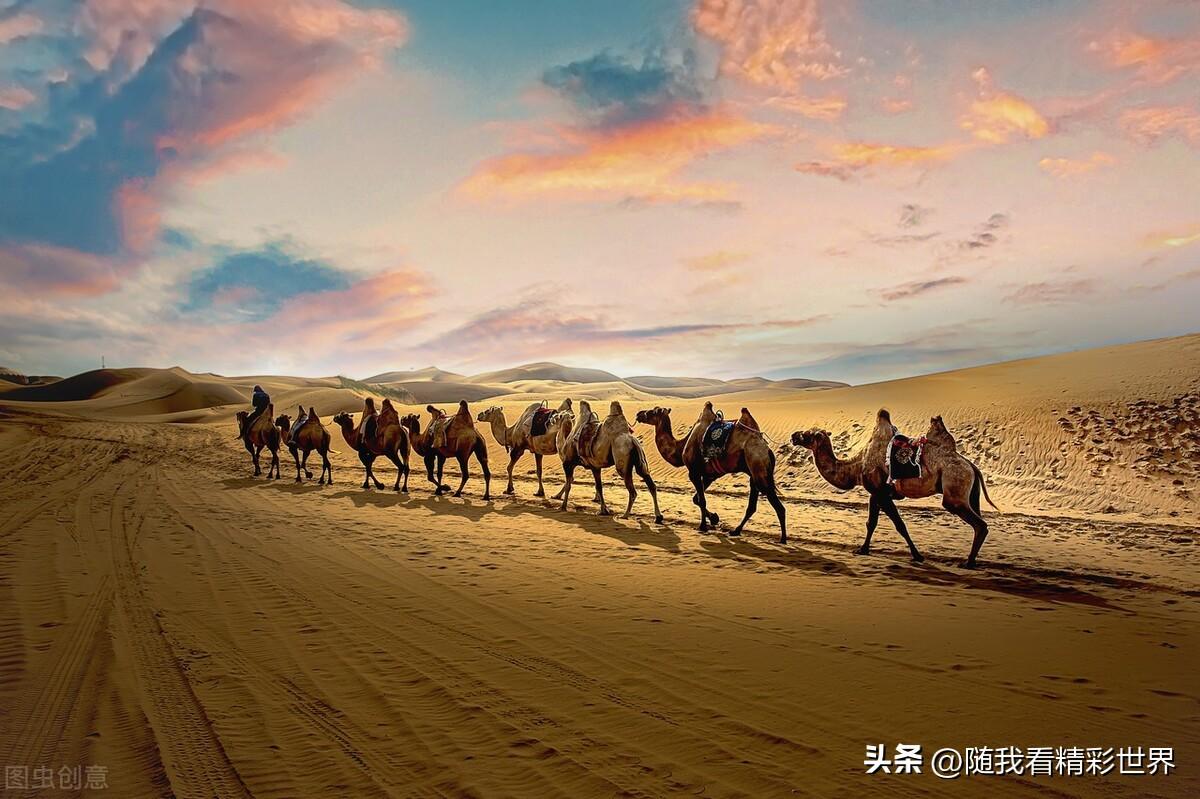 内蒙古必去的五大景点，你都去过几个？-内蒙古必去的旅游景点