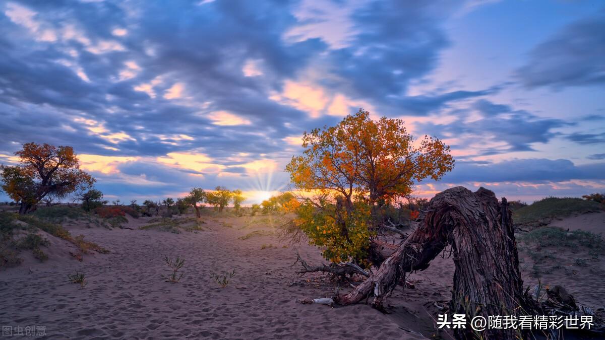 内蒙古必去的五大景点，你都去过几个？-内蒙古必去的旅游景点