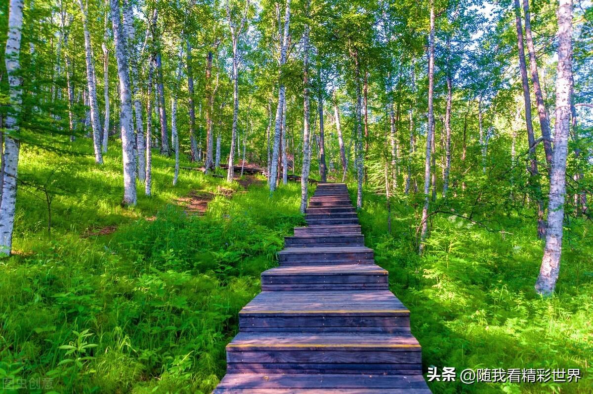 内蒙古必去的五大景点，你都去过几个？-内蒙古必去的旅游景点
