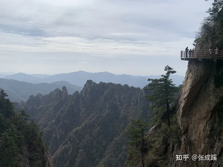 老君山是哪里？-老君山是哪里的山