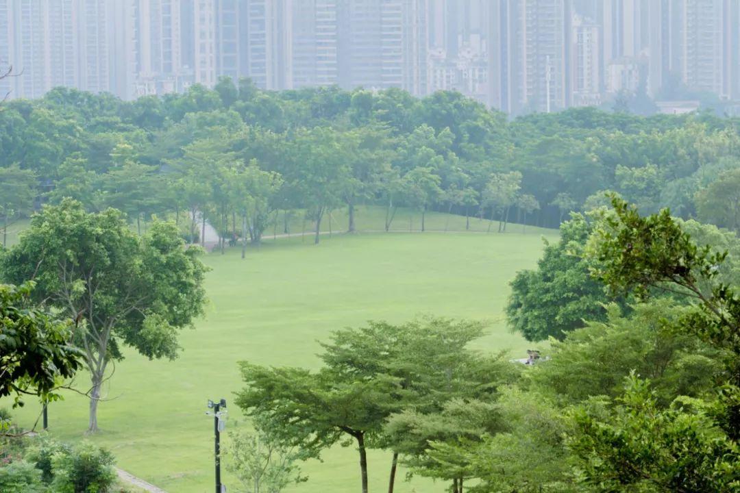 深圳10个帐篷露营地，全都免费-深圳 帐篷营地