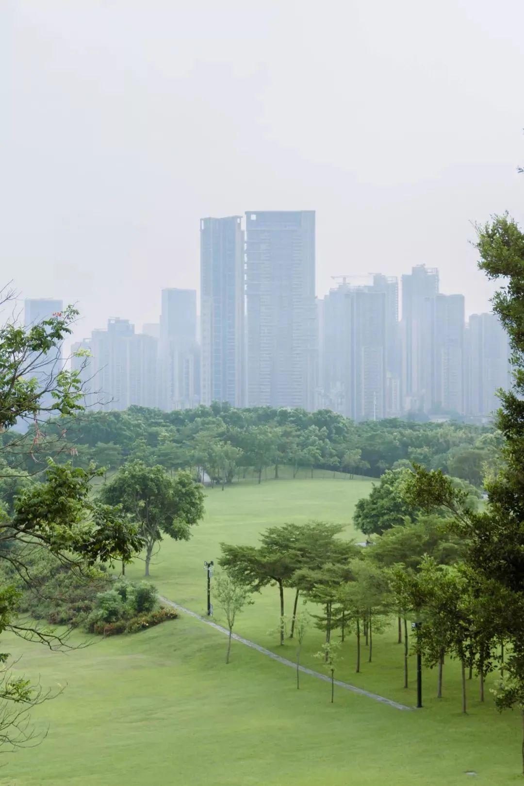 深圳10个帐篷露营地，全都免费-深圳 帐篷营地