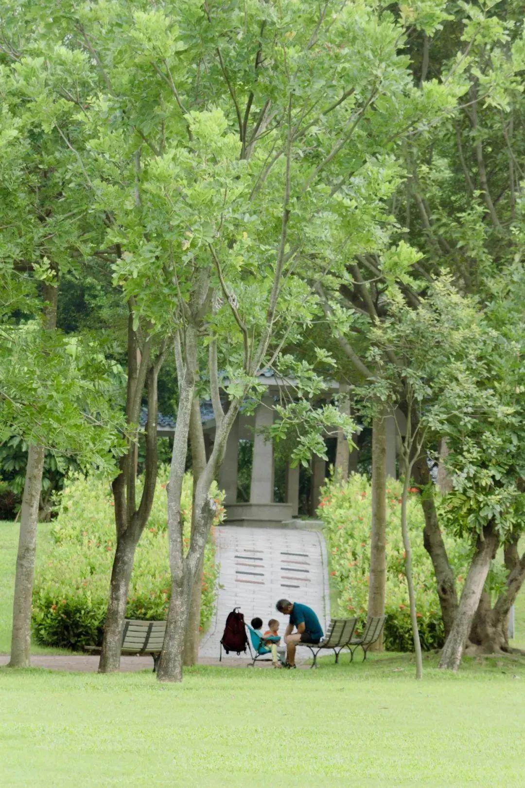 深圳10个帐篷露营地，全都免费-深圳 帐篷营地