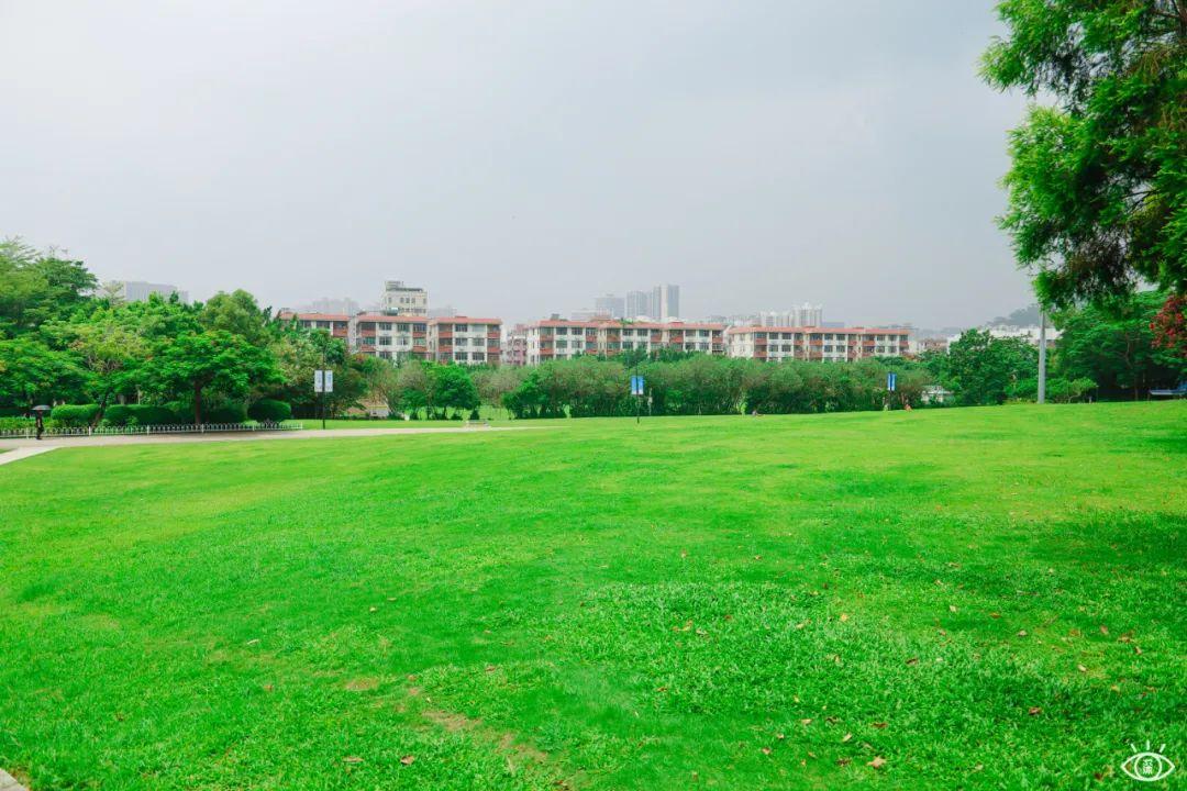 深圳10个帐篷露营地，全都免费-深圳 帐篷营地
