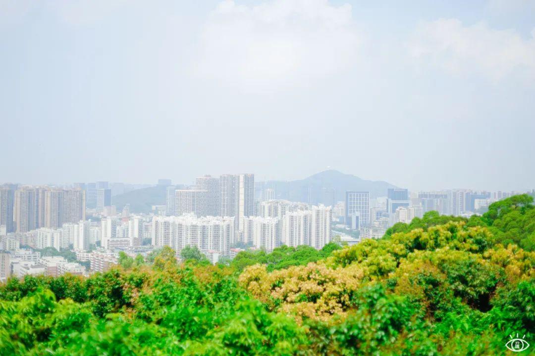 深圳10个帐篷露营地，全都免费-深圳 帐篷营地