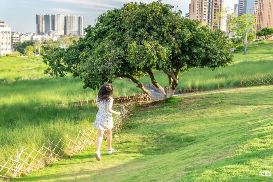 深圳10个帐篷露营地，全都免费-深圳 帐篷营地