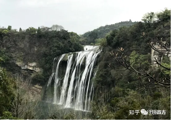 黄果树大瀑布细品-黄果树的瀑布短文答案