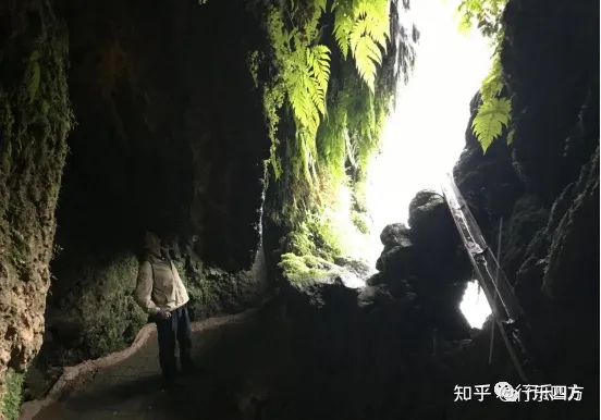 黄果树大瀑布细品-黄果树的瀑布短文答案