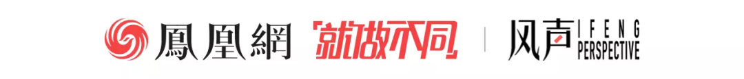 风声丨从《消失的她》到《孤注一掷》，国产电影热衷于赚“社会情绪”的钱？-电影风声的编剧
