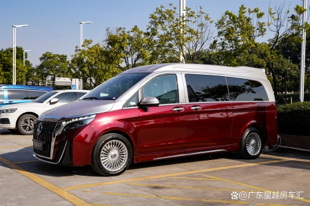 限量双拼色外观，轻奢舒适内饰，全新奔驰V260L商务车排面十足！-奔驰v级双拼色
