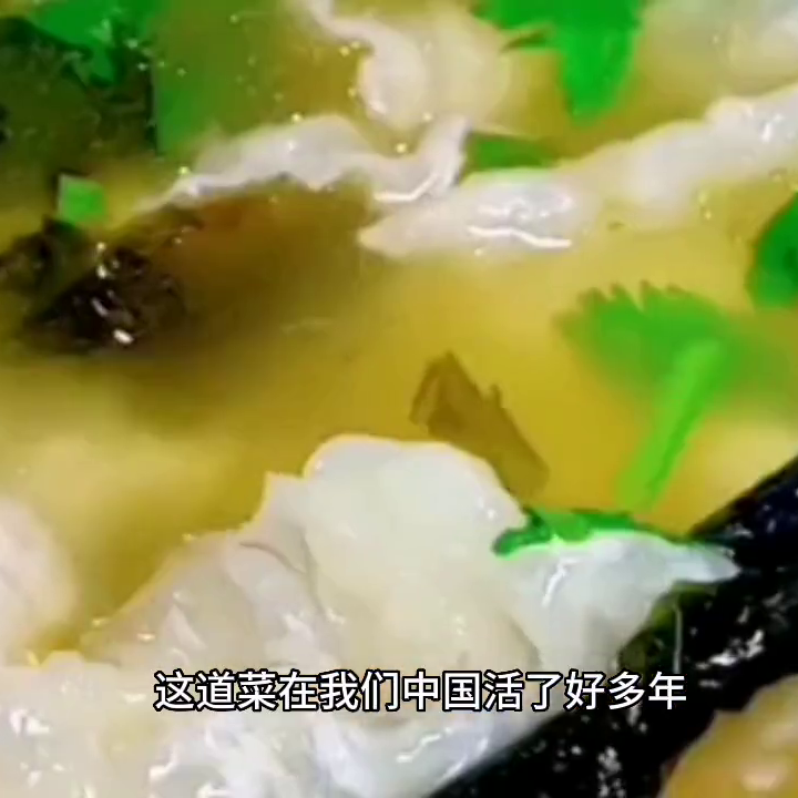 #美食教程-美食教程视频