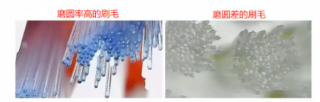 电动牙刷哪个牌子好？品牌前十名盘点，口碑超高！-电动牙刷哪家好?