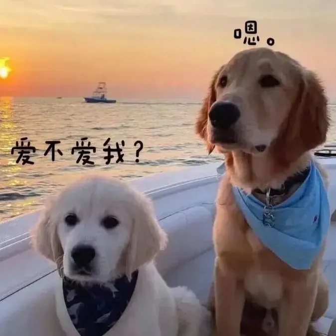 149张好看的情侣头像值得分享