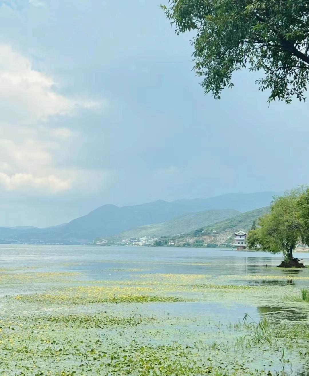 第一次去云南旅游不要慌，来看俩个女生云南自由行旅游攻略-第一次去云南推荐路线