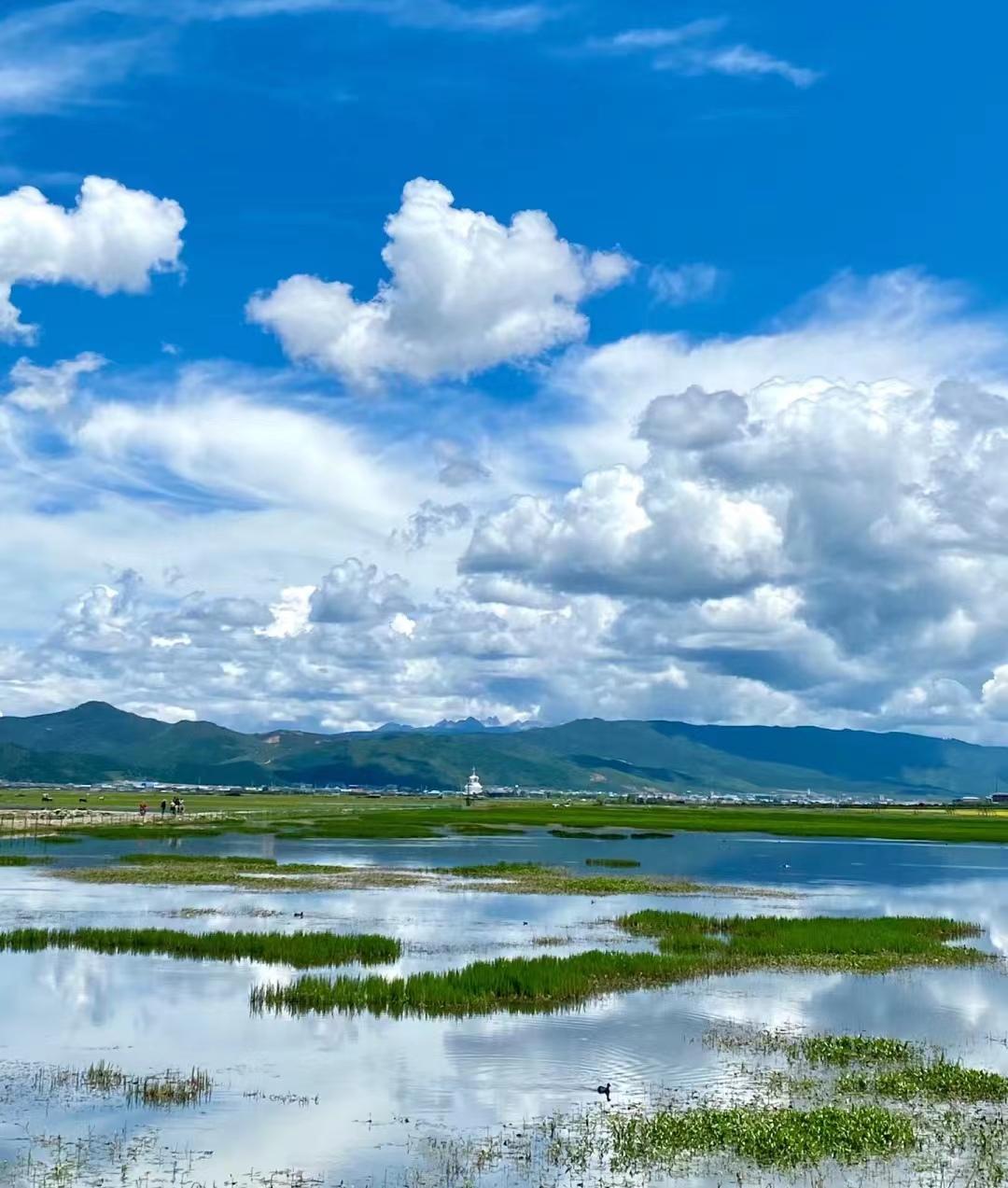 第一次去云南旅游不要慌，来看俩个女生云南自由行旅游攻略-第一次去云南推荐路线
