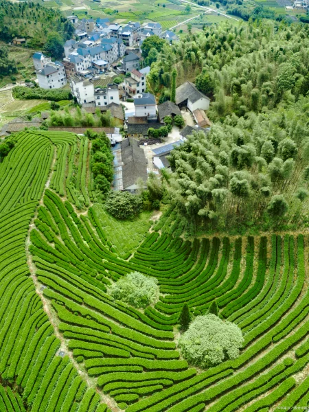 云南自由行省钱攻略——第一次去云南必看攻略-云南攻略自由行路线推荐