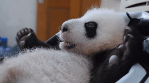 脚底的哪个部位最怕痒？怎么自己挠就没那么痒了呢？-脚底怕痒怎么回事