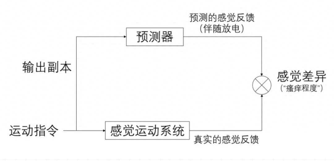 你是不怕痒技能满点选手吗？-不怕痒代表什么