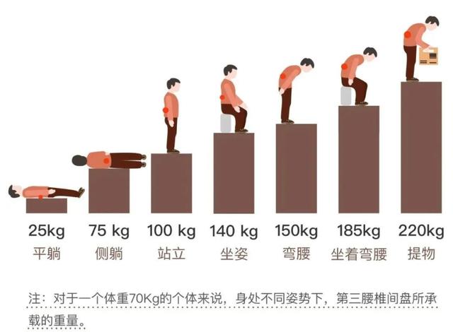体医科普｜腰椎间盘比业绩更突出？五种锻炼方法有助缓解-腰椎间盘突出该怎么锻炼效果较佳