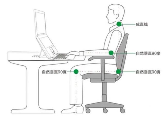 体医科普｜腰椎间盘比业绩更突出？五种锻炼方法有助缓解-腰椎间盘突出该怎么锻炼效果较佳