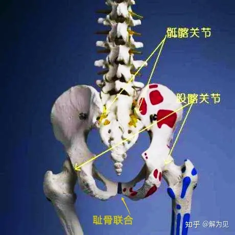 产后应该怎么修复，有哪些内容？-产后修复的最佳方法