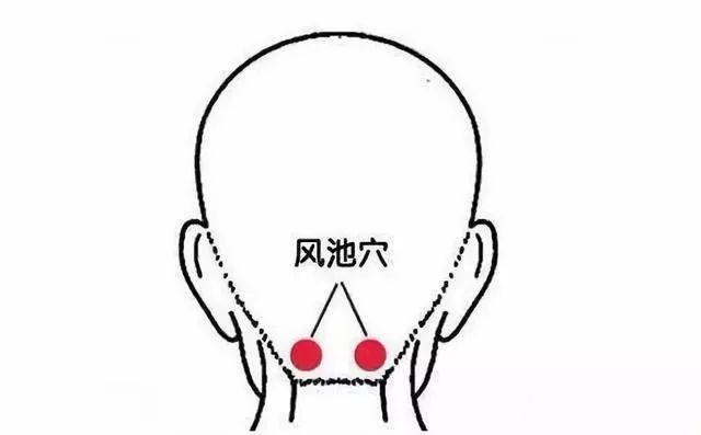 伏天“余额”将尽！这些养生禁忌一定要提前看一看！做错了伤害大-伏天的养生模式