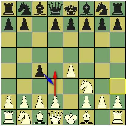 谁能介绍一下国际象棋的基本规则和走法，还有基本战术？-国际象棋的走法视频