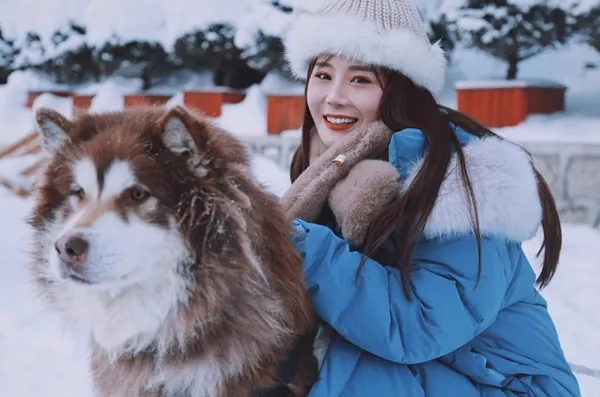 去哈尔滨旅游-哈尔滨旅游2021年攻略，个人亲测（景点+线路+费用+美食）-哈尔滨旅游最佳路线图