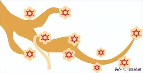 网络中国节·春节丨中国传统节日——春节-网络中国节指什么
