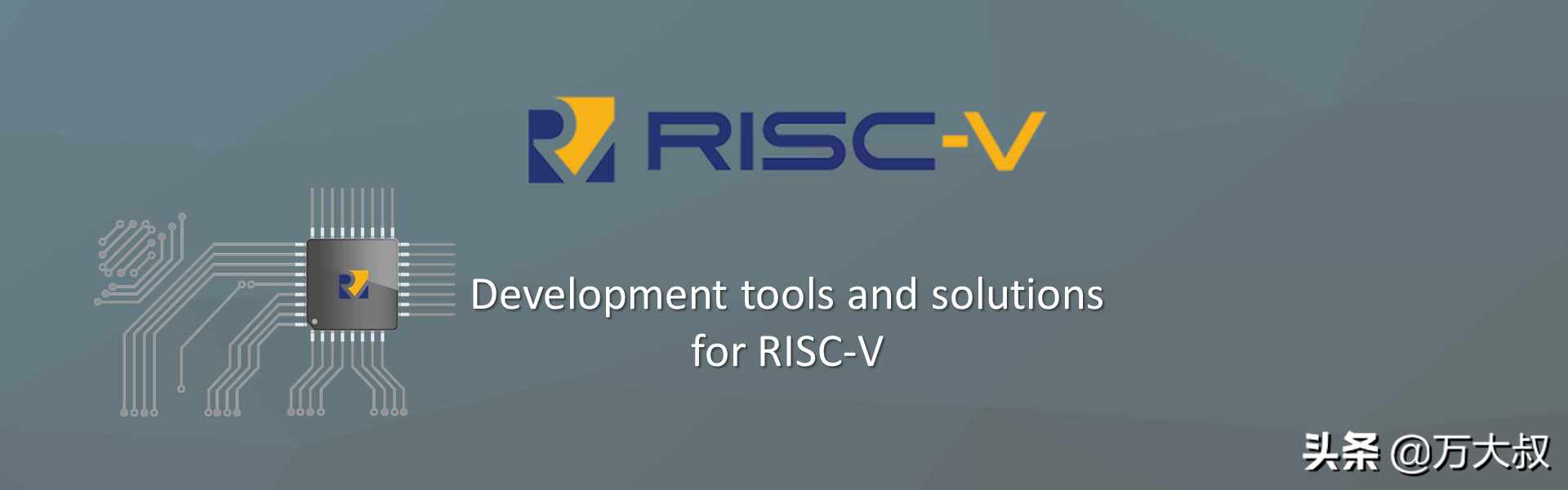 全球首款RISC-V DSP芯片问世，中国制造并量产，国产芯片取得突破-生产dsp芯片的上市公司