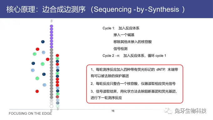 高通量测序（NGS）应用科普-高通量测序结果如何看懂