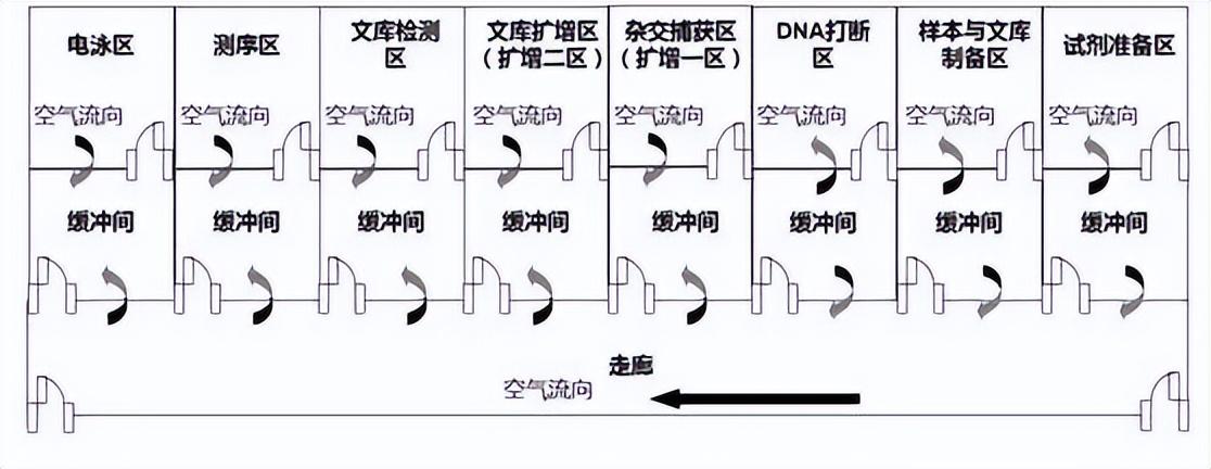 高通量测序（NGS）实验室各区设计为何完全分隔，还要单向气流？-高通量测序的应用