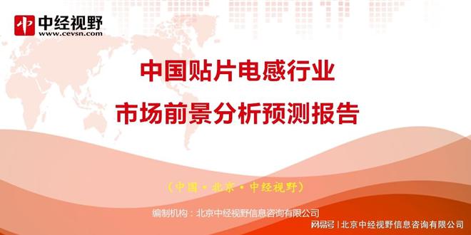 中国贴片电感行业市场前景分析预测报告-贴片电感生产工艺
