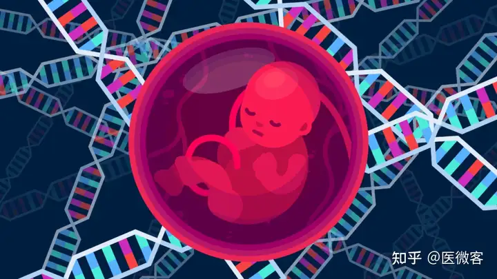 世界首个子宫移植临床试验完整结果发布，成功诞下健康婴儿